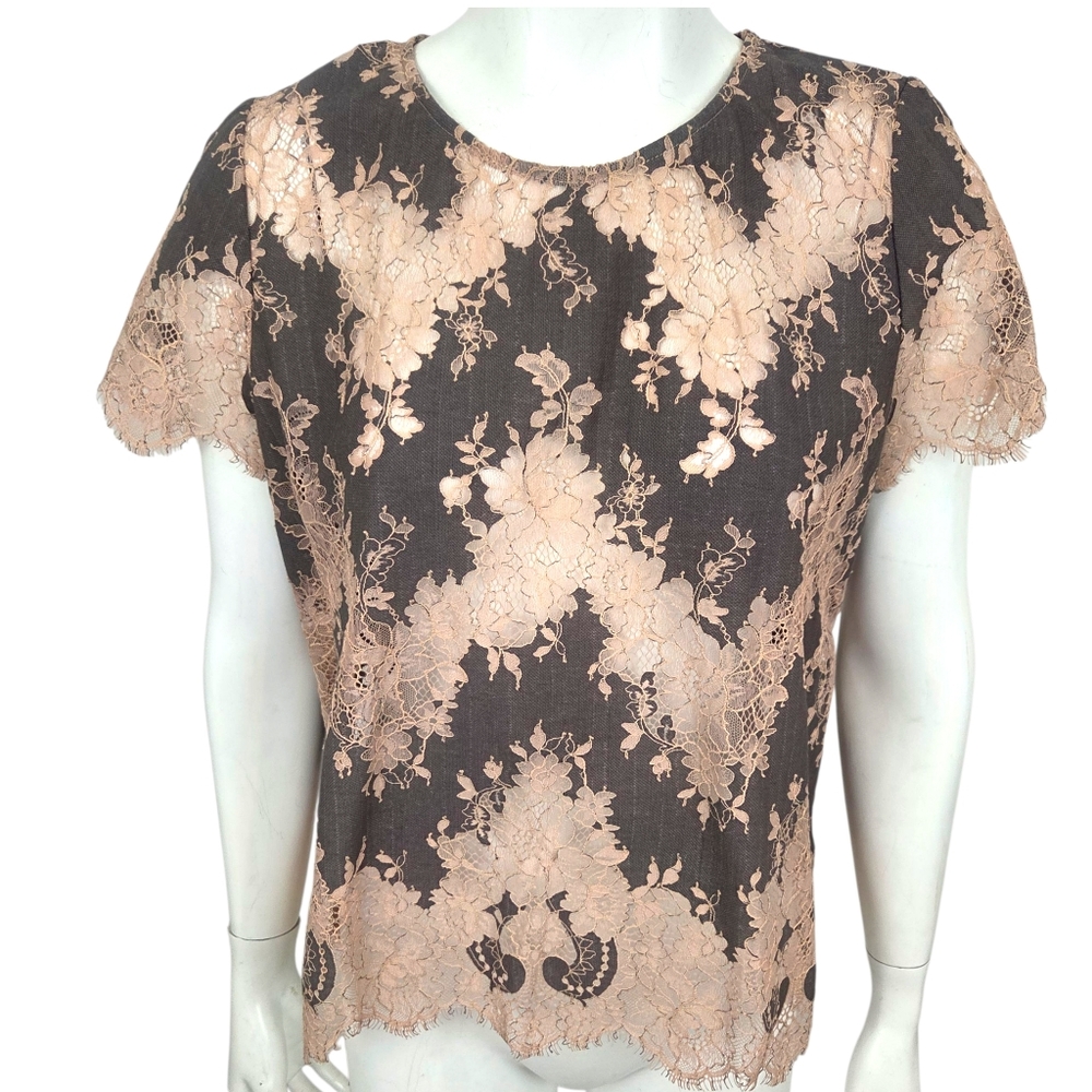 Everleigh Lace Sheer Blouse Womens Large Coquette Romantic Feminine Balletcore
